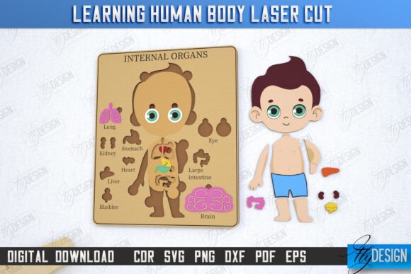 Learning Human Body Laser Cut Boy CNC: Playful, Educational Design for Local Brands