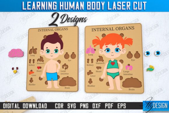 Learning Human Body Laser Cut Bundle: A Crafter’s Real-World Review for Kids’ Educational Crafts