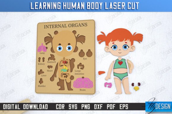 Learning Human Body Laser Cut Girl CNC: A Fresh Editorial Design Asset for Kid-Friendly Content